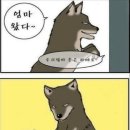 아기돼지 삼형제 이미지