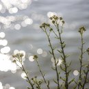 강동로5-21 이미지