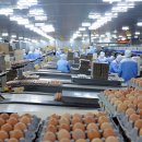 태백축산 이미지