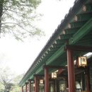 낙원(樂源) 이미지