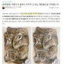 해창수산