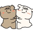 하울 애견 유치원 이미지