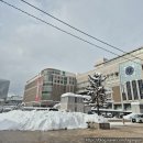 후게츠 | 북해도 여행 삿포로 다이마루 백화점 식당가 츠루하시 후게츠 오코노미야키 맛집 후기