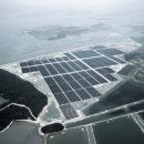 세계 최대 태양광발전소 신안서 준공 이미지
