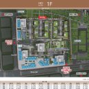 리저브성형외과의원 이미지