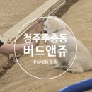 맨앤보이 | 청주이색데이트로 딱이었던 곳, 청주 실내동물원 "버드앤쥬" 후기
