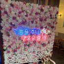 슈슈댕 천안두정점 | 천안 두정동 24시 애견미용 애견목욕 슈슈댕