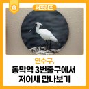 인천의 깃대종 이야기 이미지