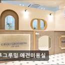 그루그루밍 | (수원, 강아지, 고양이, 애견미용, 추천!) 그루그루밍 애견미용실 수원 그루그루밍, 편안한 미용