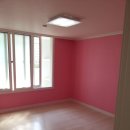 삼일무지개 이미지