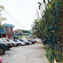 송지호 비치하우스 이미지