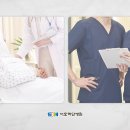 사하하윤동물병원 | 부산사하구병원 암 환자 식단 상황에 맞는 구성으로