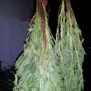 선학초등학교 이미지