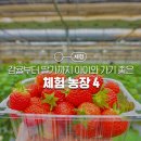 강성인농장 네이버블로그