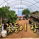 뜨락풍경 이미지