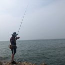 반도레포츠