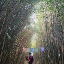 와현해수욕장(서) 이미지