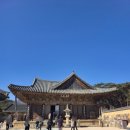 목어-기원 | 양산 통도사 겨울 방문기 영축총림 통도사 대웅전 금강계단 참배 후기