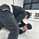 존프랭클 위즈덤 주짓수 이미지