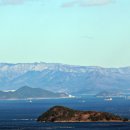 천자봉 농장 이미지