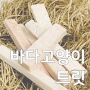 바다고양이식탁 이미지