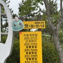 개미집가든 네이버블로그