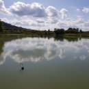 초정낚시터 이미지