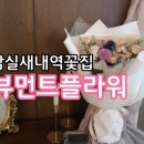뷰먼트