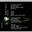 백향꽃