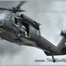 바디퀄리티 이미지