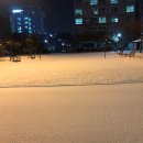 씨채널안경 롯데마트목포점 | [목포맛집]가장맛있는족발/파스쿠찌/더2020/커피스미스/이태리반점/기와집농원/기찻길315