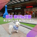 프로젝트엠아비뉴프랑 | [광교아브뉴프랑 애견동반나들이] 이제부턴, 광교호수공원 안 가도 되겠는데?