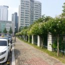 명품나라