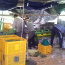 평촌농장 이미지