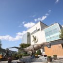 이화여자대학교 자연사박물관 이미지