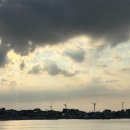 월스낵 | 제주도 분식 월정리 월스낵 내돈내산 후기