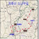 (주)금강송 이미지