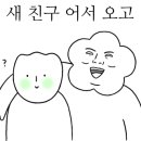 몽모드펫 이미지