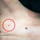 불광동물병원 이미지