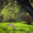 양산국유림관리소(3층) 이미지