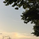 무지개지물 | 행운을 부르는 무지개 구름 '채운' 관측 후기: 빛의 회절과 희귀성이 알려주는 삶의 인사이트