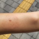 연세영피부과의원 이미지