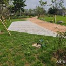 기흥호수공원(생태) 이미지