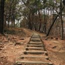 가좌산 체육장 4(석류공원 갈림길) | 진주 망진산(172m) 산행기... (도심속 숲길을 걷다.)