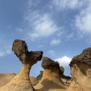 게이트호텔 | 대만 여행 타이베이 숙소 추천 &#39;시티즌M 타이베이 노스 게이트&#39; 호텔 후기 (내돈내산)