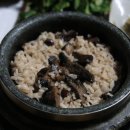 송이버벗 이미지