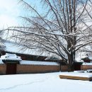 서정적인 이미지