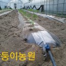 쌍둥이농원 이미지