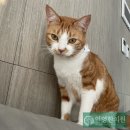 인영한의원 이미지
