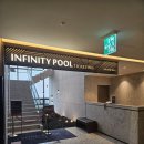 소노펠리체 델피노 이미지